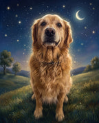 Starry Night pet portrait sample