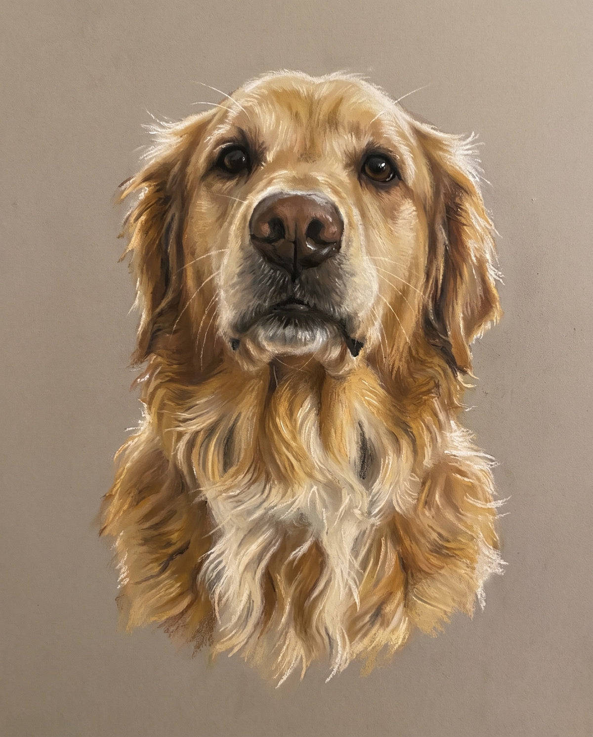 Pastel Chalk pet portrait sample