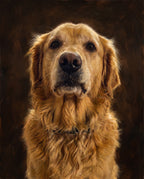 Classic Oil pet portrait sample