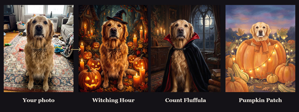 A customer's pet photo next to the finished portraits