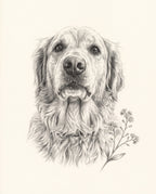 Pencil Tribute pet portrait sample