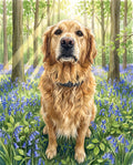 Bluebell Wood pet portrait sample
