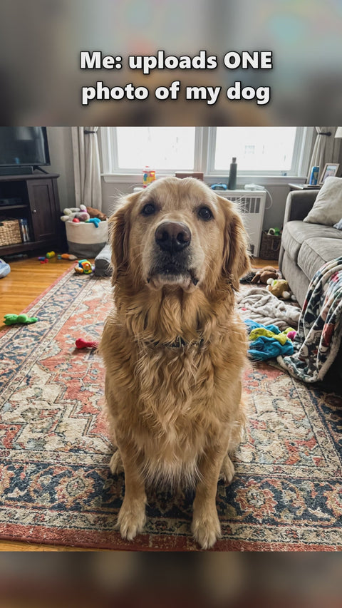 One photo in. Three portraits out.