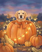 Pumpkin Patch pet portrait sample