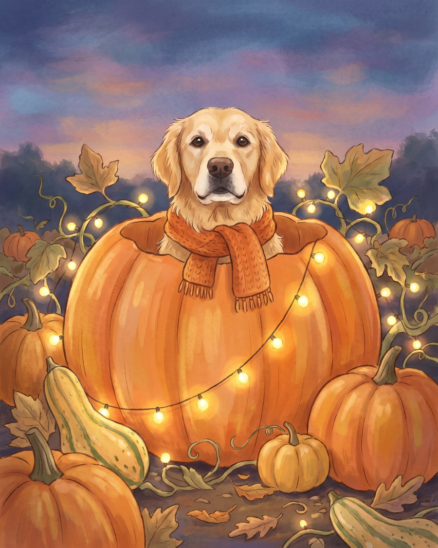 Pumpkin Patch